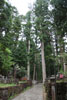 奥の院参道2
