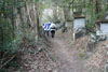 焼山寺遍路道1
